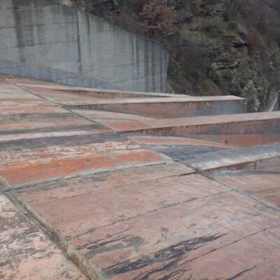 Orf1